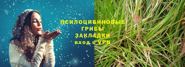 гидра Волосово